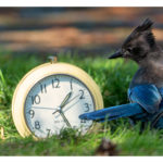 時間の自由を手に入れるための「戦略」